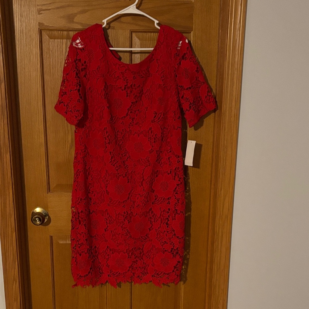 Chic Scarlet Lace Mini Dress